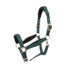 Caveçalho acolchoado Shires Arma - Verde