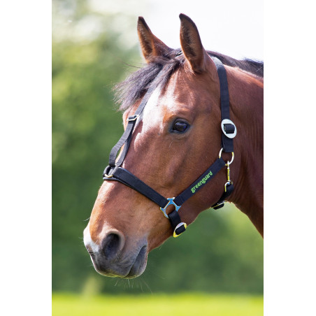Cabresto Shires Greenguard