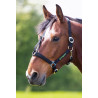 Cabresto Shires Greenguard - Preto