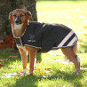 Casaco impermeável para cão Shires Digby & Fox - Verde