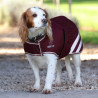 Casaco impermeável para cão Shires Digby & Fox - Bordéus