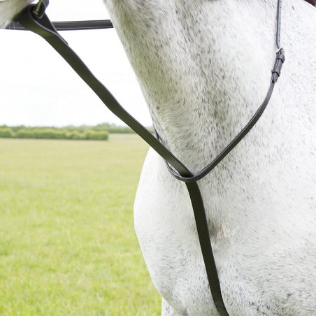 Martingale fixa Shires Velociti Gara