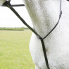 Martingale fixa Shires Velociti Gara - Preto