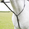Martingale fixa Shires Velociti Gara - Castanho