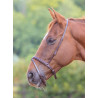 Muserola francesa flash Shires Velociti Gara - Castanho