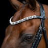 Frontal Imperial Riding Slim - Preto / prata
