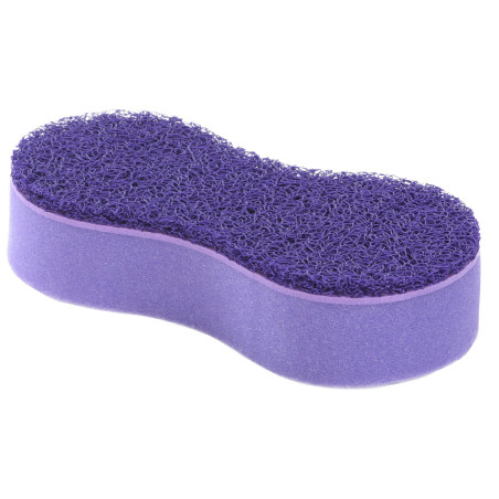 Esponja shine Lamicell