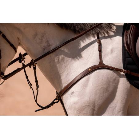 Seta de martingale K by Equithème K-Kontour