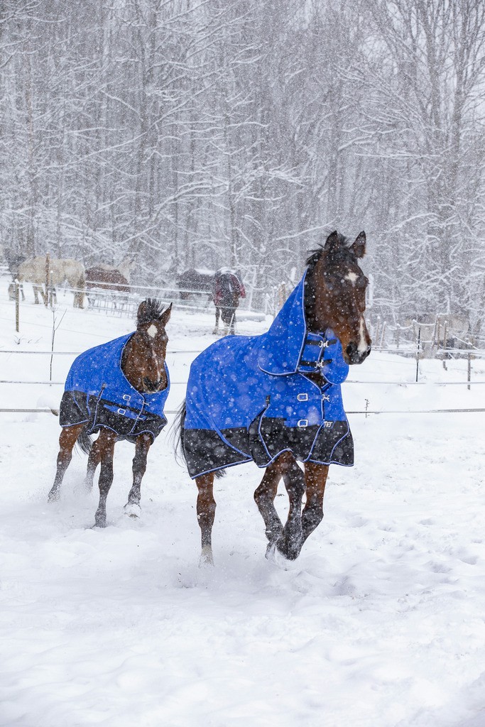 Cobertura Equithème Tyrex 1200D Aisance High Neck Azul / preto Cobertura Equithème Tyrex 1200D Aisance High Neck Azul / preto