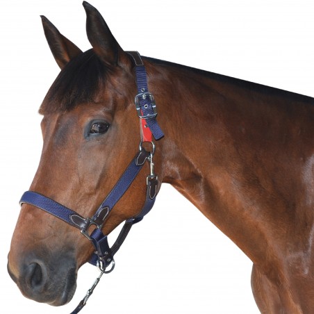 Cabresto de Segurança Flags & Cup