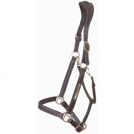 Caveçom de Couro com Placa Caneleira Anatômica T de T