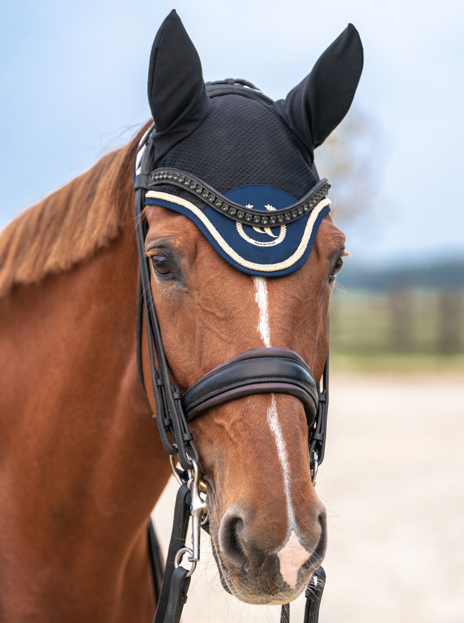 Mantilha de Salto Welltex Back on Track Night | Equitação