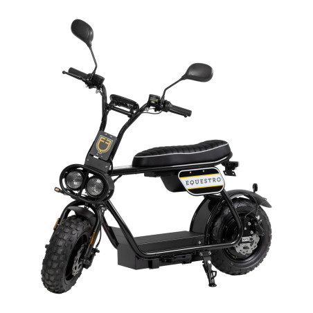 Scooter elétrico E-one 1000W