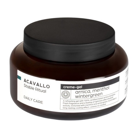Arnica 90 com mentol 500 ml