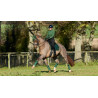 Almofada de sela LeMieux Loire Dressage Square - Verde hunter