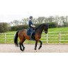 LeMieux Suede Dressage Square Reflective - Marinho