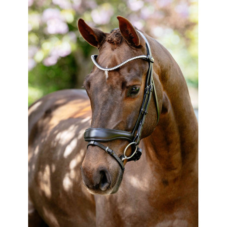 Bridão de dressage anatómico Kudos LeMieux