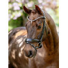 Bridão de dressage anatómico Kudos LeMieux - Castanho