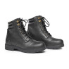 Paddock Wild River Lace Mountain Horse - Preto