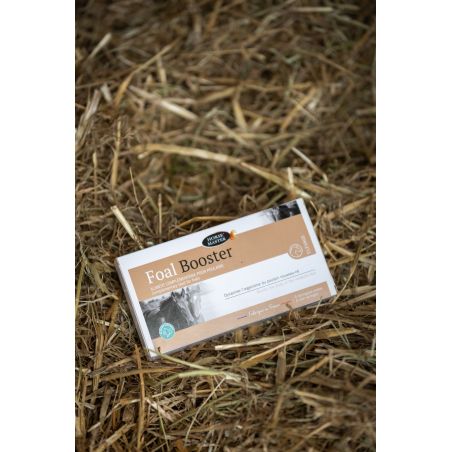 Foal Booster Horse Master por 4