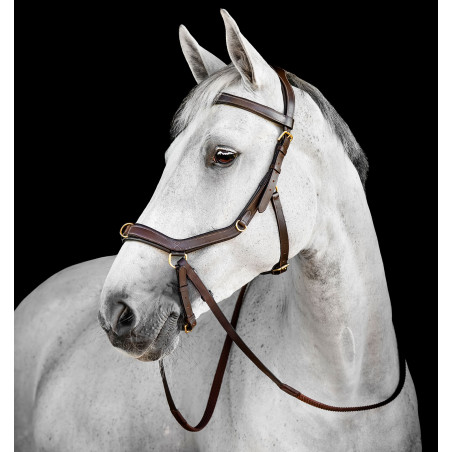 Bridão Horseware Micklem® Multi