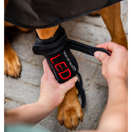 Faixas de terapia com luz vermelha LED para patas de animais de estimação Horseware Par