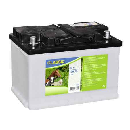 Bateria úmida especial 12 volts Kerbl