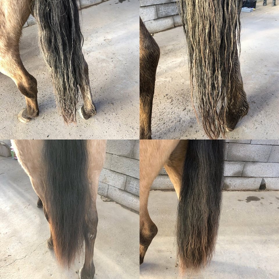 Easy Shine lustroso Ravene