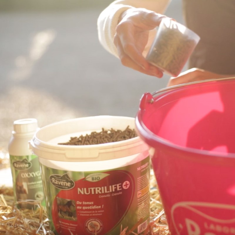 Suplemento equino Nutrilife+ Ravene – vitalidade e forma