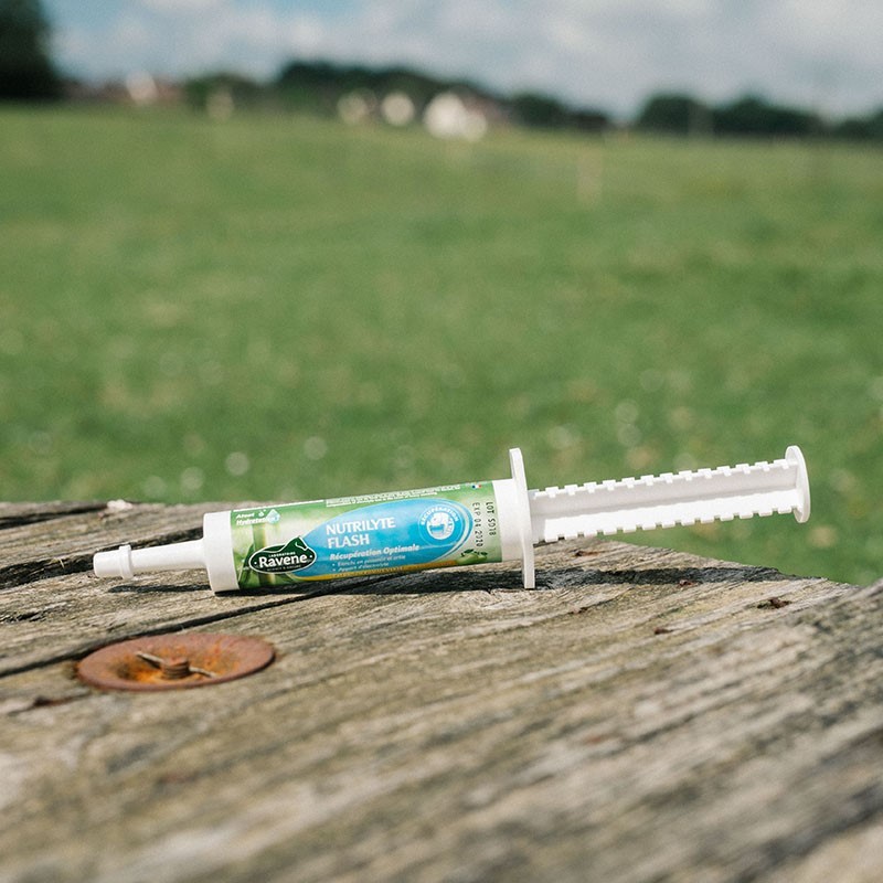 Suplemento eletrolítico cavalo pós-esforço 30 ml