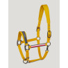 Cabresto e guia Tommy Hilfiger Equestrian Yale - Mostarda