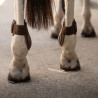 Protetor de boleto Young horses Pro choco L - Castanho