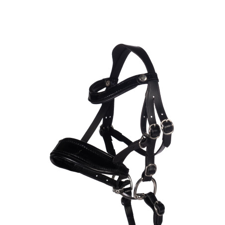 Bridão de couro Verniz Hobby Horsing HKM