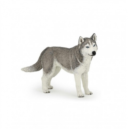 Figura Husky Siberiano Papo