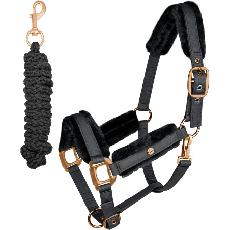 Conjunto de cabrestos Phoenix Waldhausen