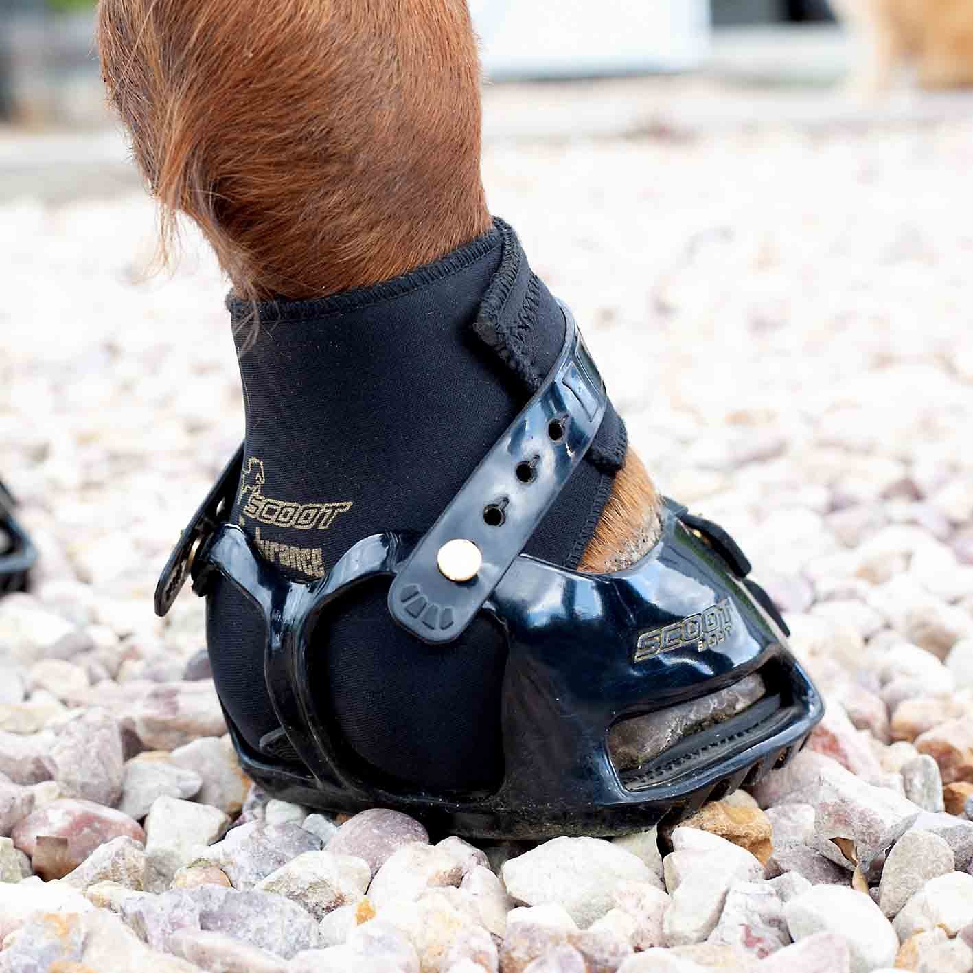 Polainas de Neoprene para Endurance Equestre Polainas de Neoprene para Endurance Equestre