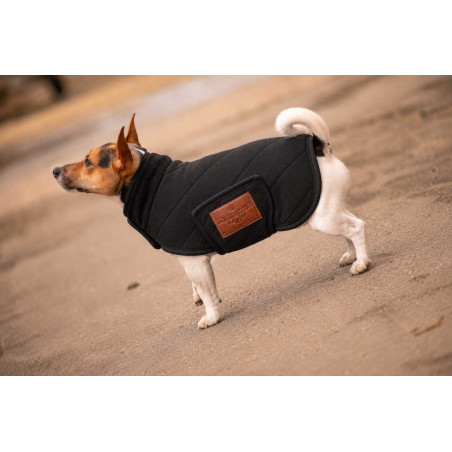 Manta polar para cão Diagonal Paddock