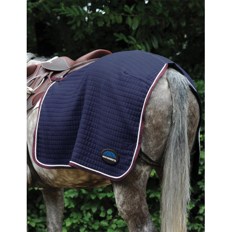 Capa de Garupa Thermocell Weatherbeeta