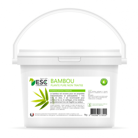 Bambu ESC Laboratório