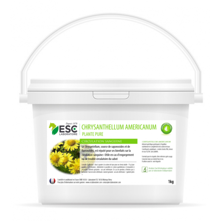 Chrysantellum Americanum ESC Laboratório