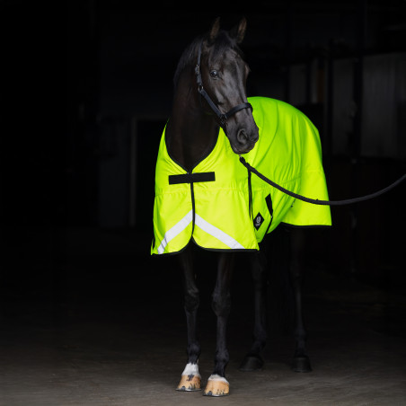 Manta de exterior Imperial Riding Reflective 200 g
