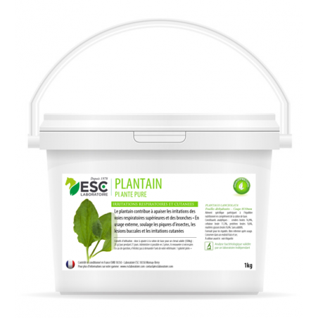 Plátano ESC Laboratório