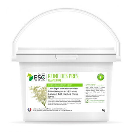 Reina-dos-prados ESC Laboratoire