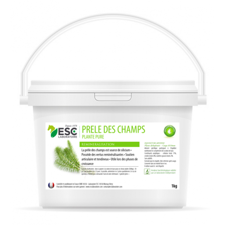 Cavalinha dos campos ESC Laboratoire