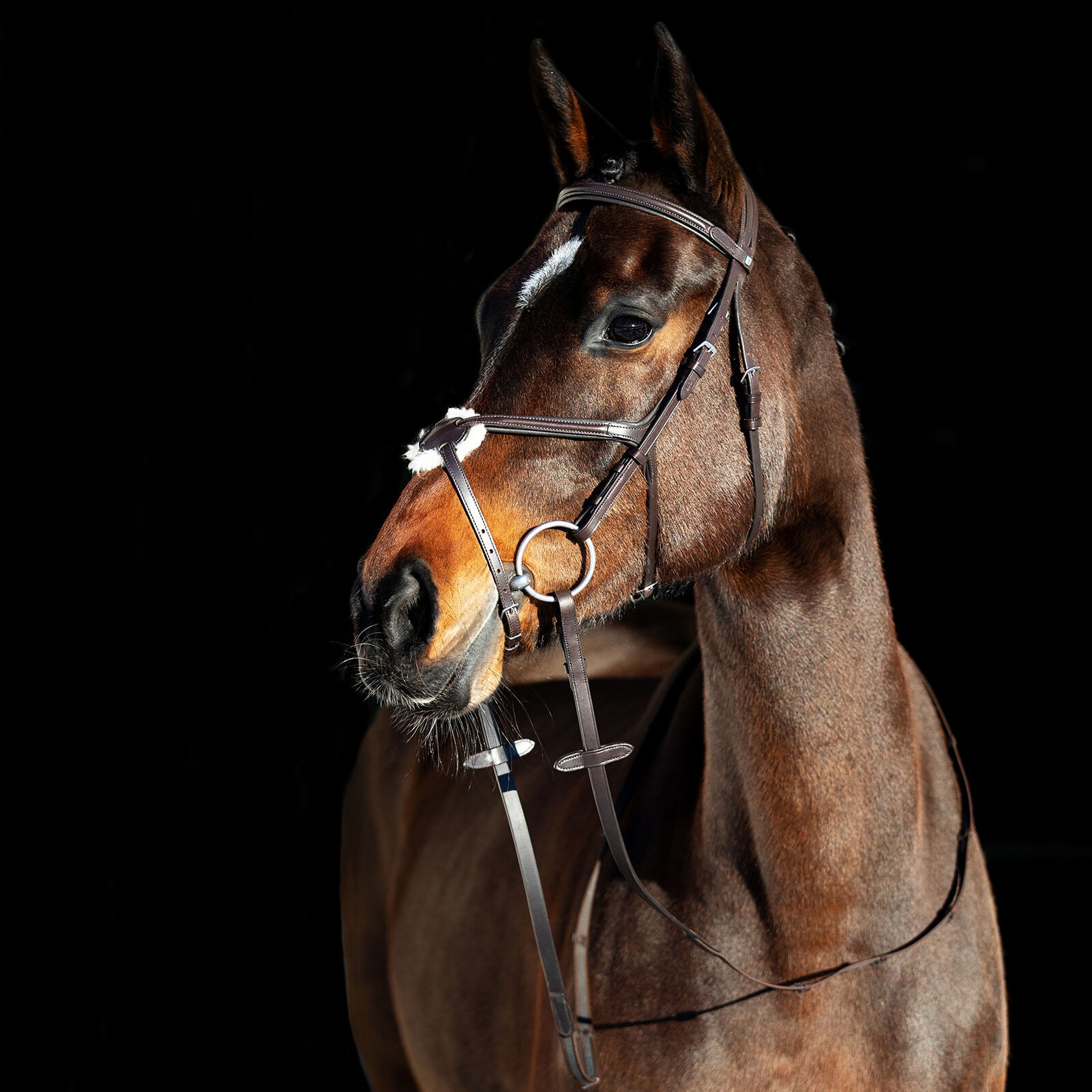 Cabeçada com noseband cruzado Prescott Horze Preto