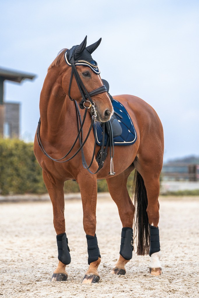 Touca para cavalo Night Collection Back On Track Azul nobre