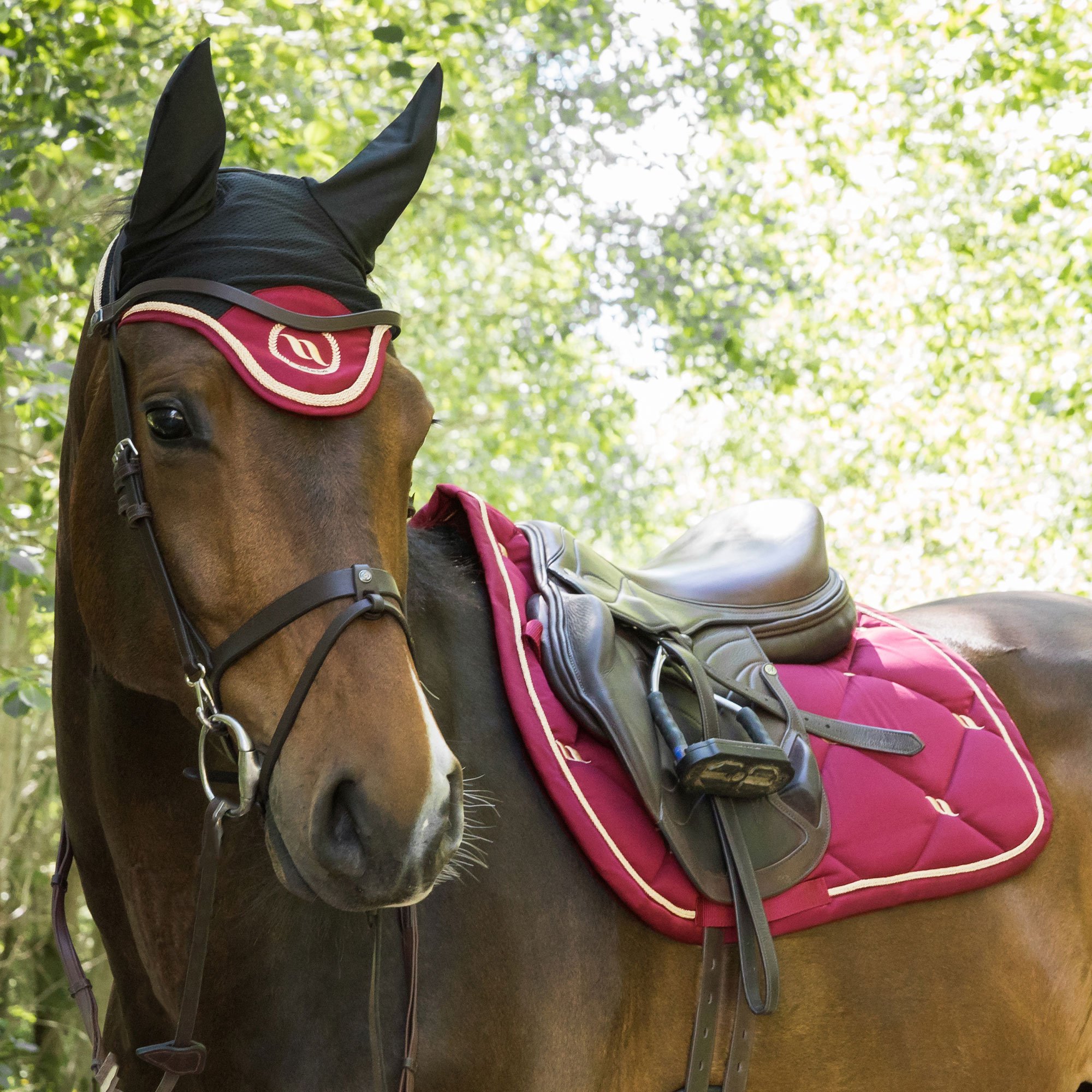 Sela de Salto Night Collection Back On Track Vermelho