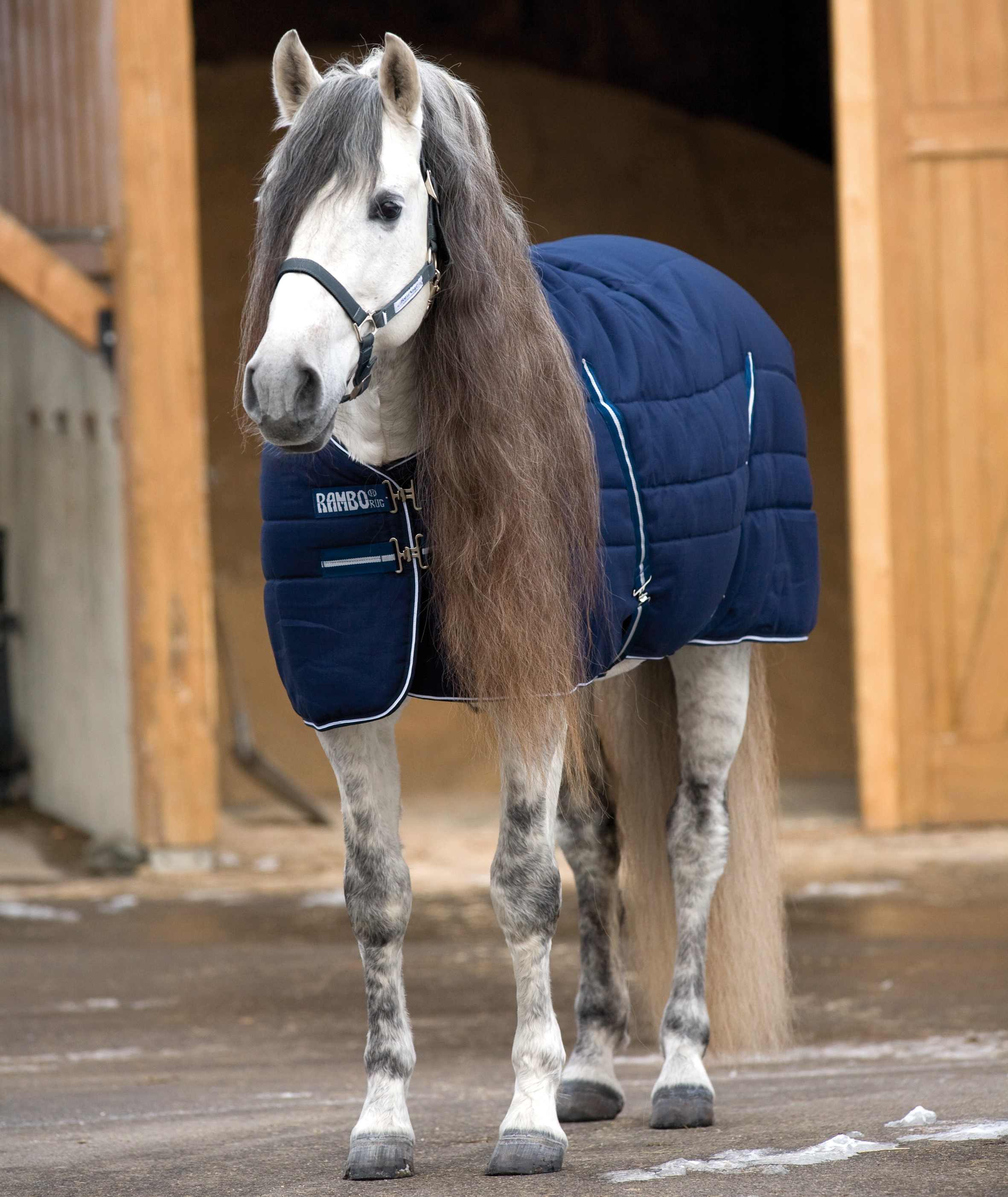 Cobertura de estábulo Horseware Rambo® 400g 1000D Azul-marinho