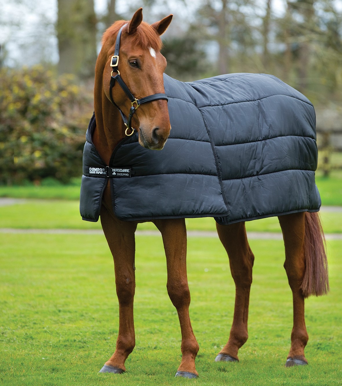 Forro Horseware® Optimo Liner 200g Preto