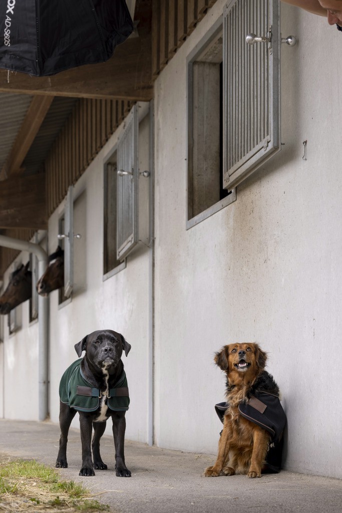 Couverture nylon Diego & Louna Teddy Noir Couverture nylon Diego & Louna Teddy Noir